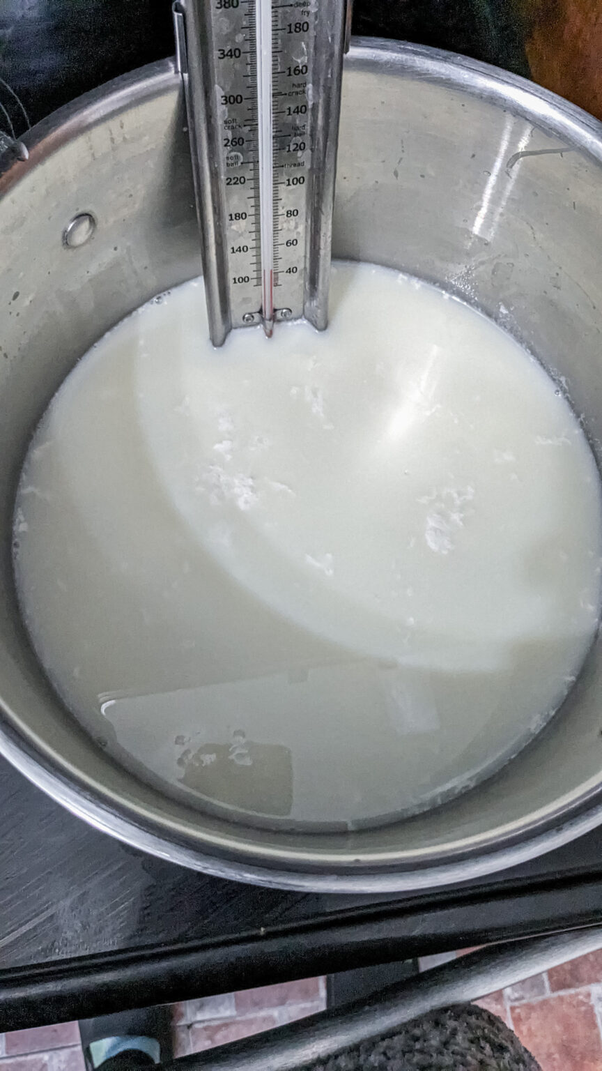 Finnish Squeaky Cheese (Leipäjuusto) - Sisu Homemaker