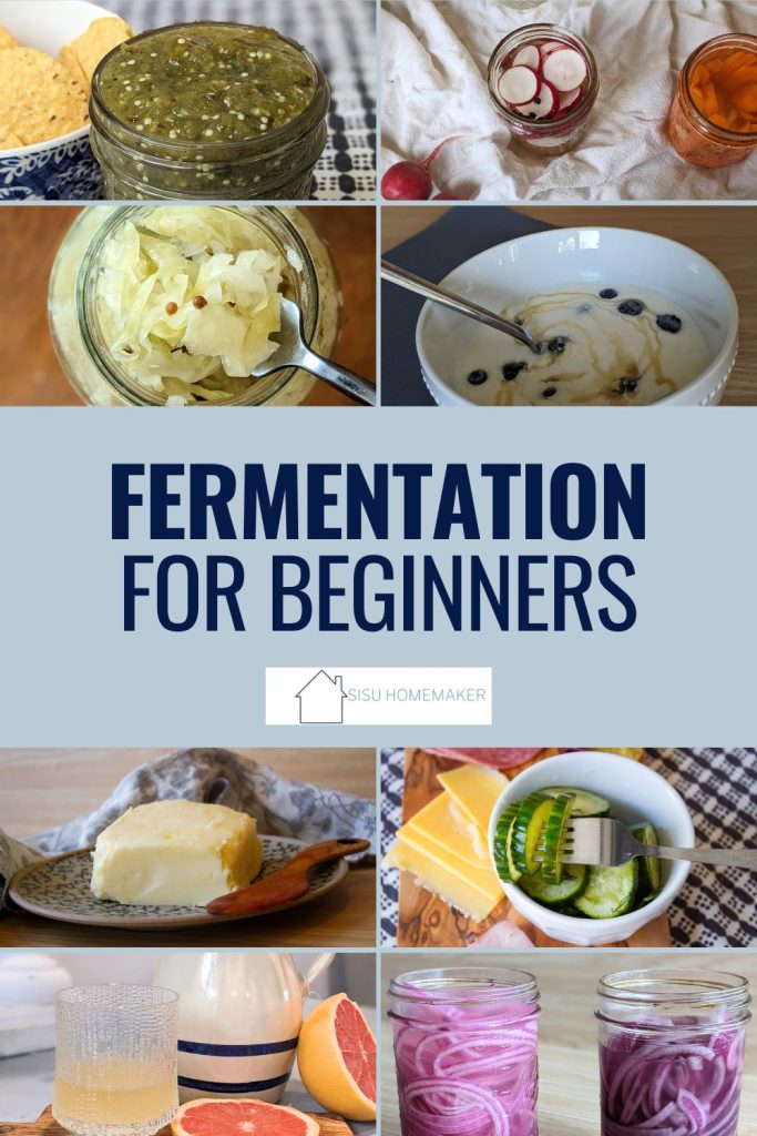 fermentation for beginners pinnable image